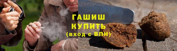 прущие грибы Горняк