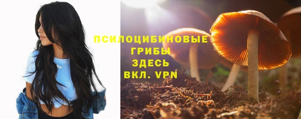 крисы Володарск