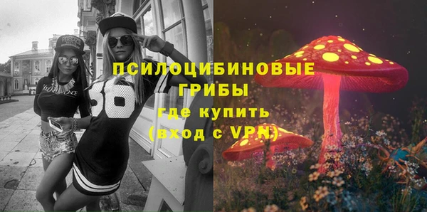 прущие грибы Горняк