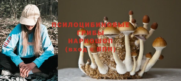 таблы Верея